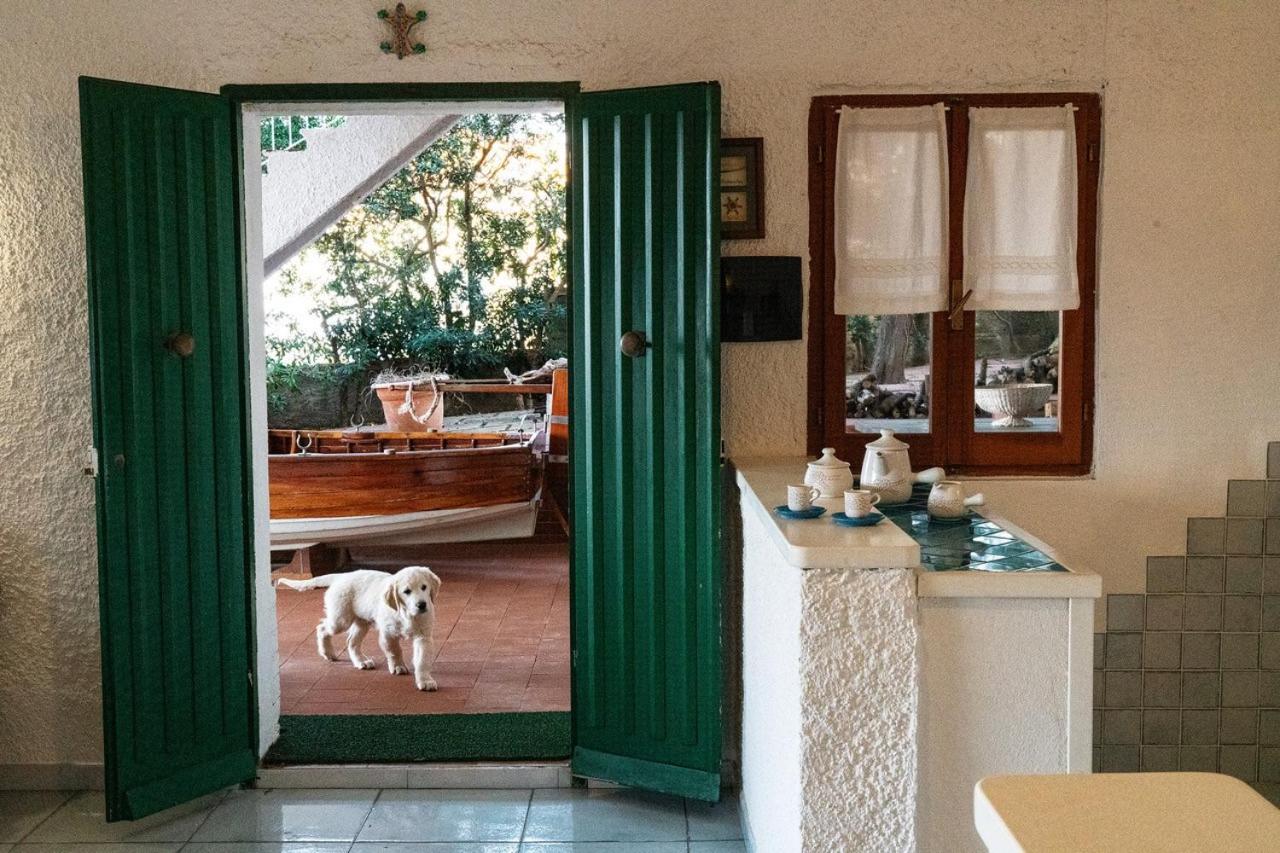 Villa Angela Santa Teresa Gallura Zewnętrze zdjęcie